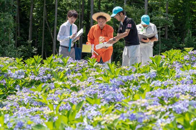 盖州姜勇最新动态，一位地方官员的奋斗与成就