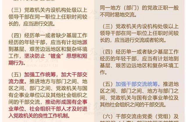 安国最新任免，人事调整背后的政策导向与未来展望