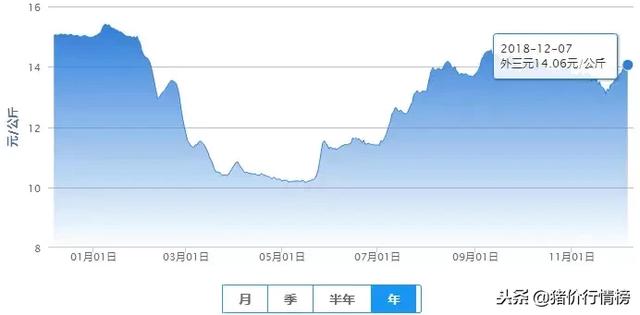 最新今天猪价格，市场波动背后的原因与未来趋势