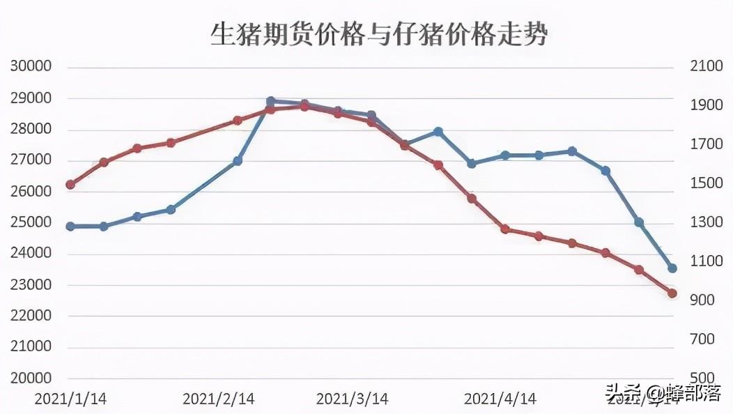 子猪最新价格，市场趋势、影响因素及养殖策略分析