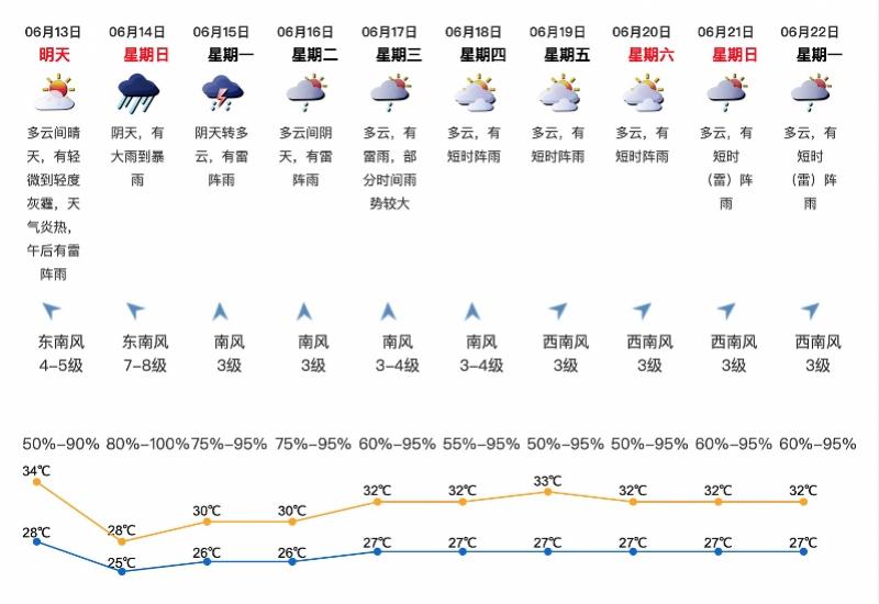 深圳最新台风动态，风雨中的城市坚守与应对