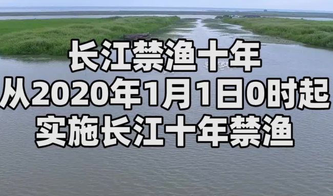 长江禁渔最新通知，生态保护与可持续发展的双赢之路