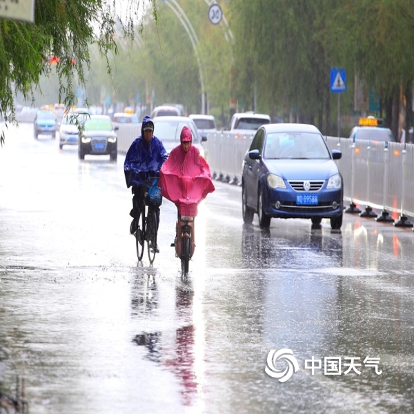 辽阳最新台风天气，风雨中的城市与民众的应对