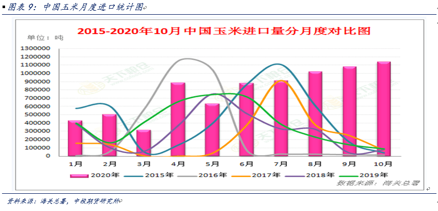 今天玉米最新报价，市场波动背后的深层原因与未来展望