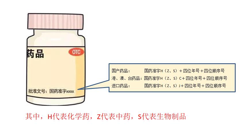 最新文号转移，数字时代的变革与机遇