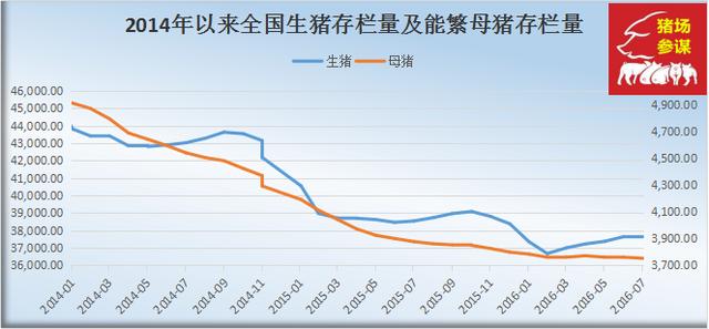 静宁最新猪价，市场趋势、影响因素及未来展望