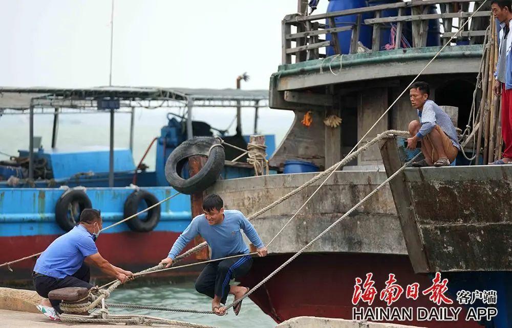 最新台风视频，海南的台风影响与防御措施