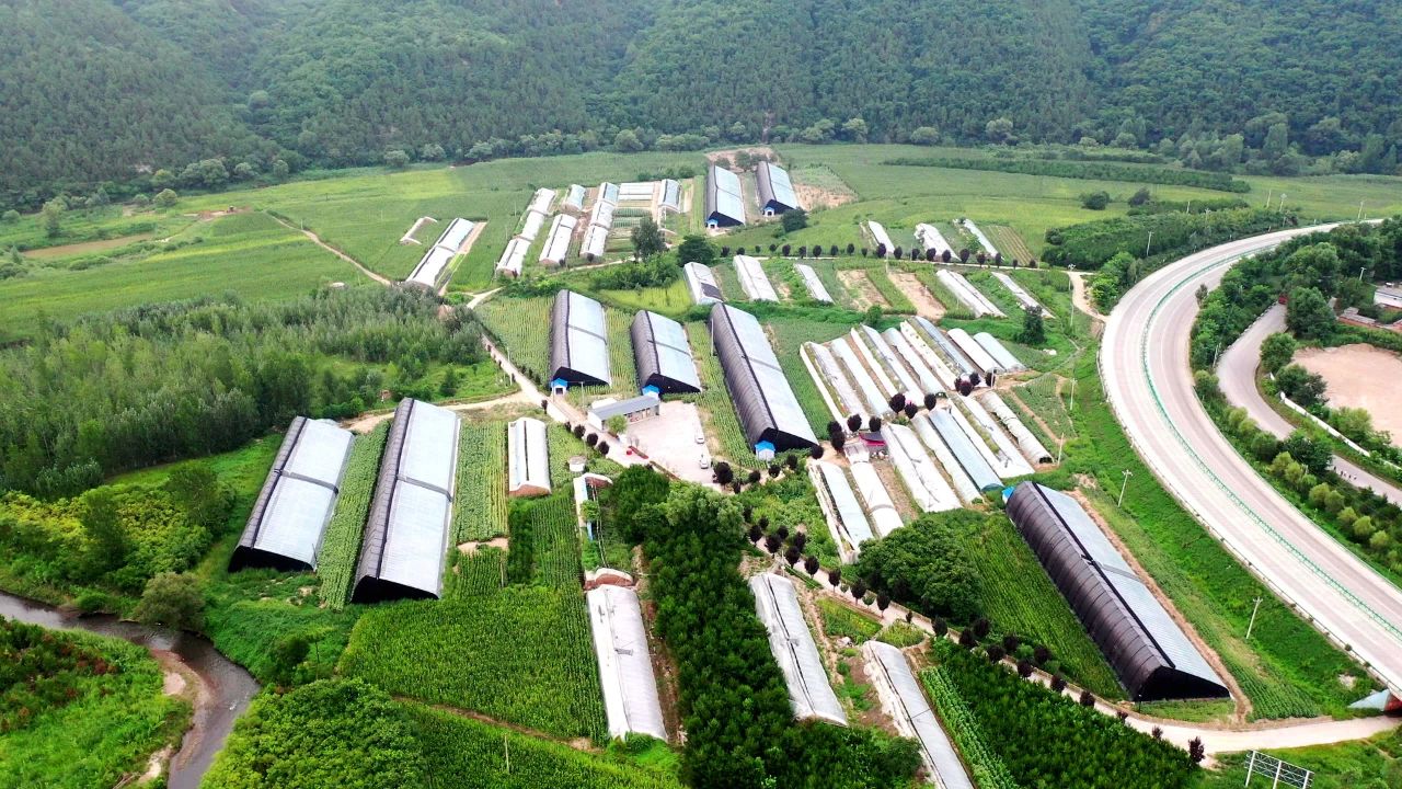 最新乡村振兴规划，引领农村全面振兴的蓝图