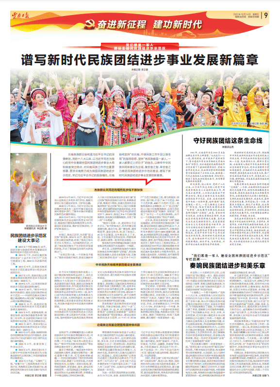 大团结2最新，新时代的团结与融合