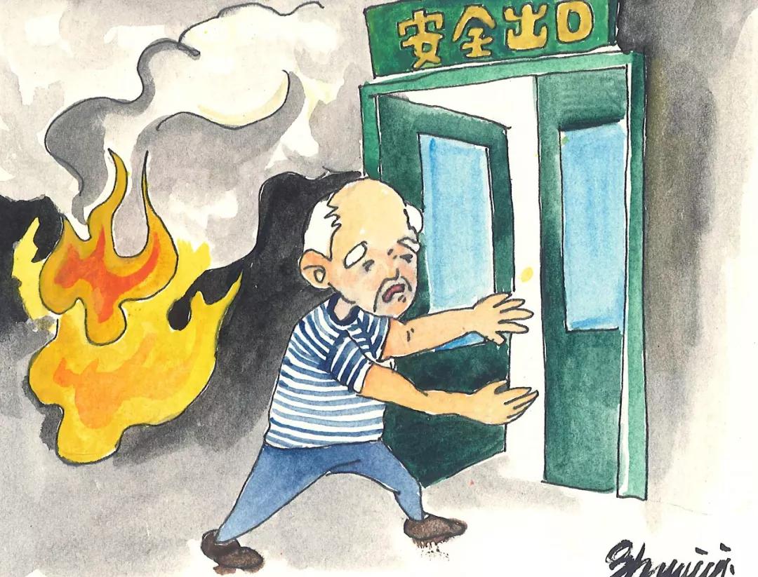 长沙流浪狗最新情况，关爱与救助行动全面升级