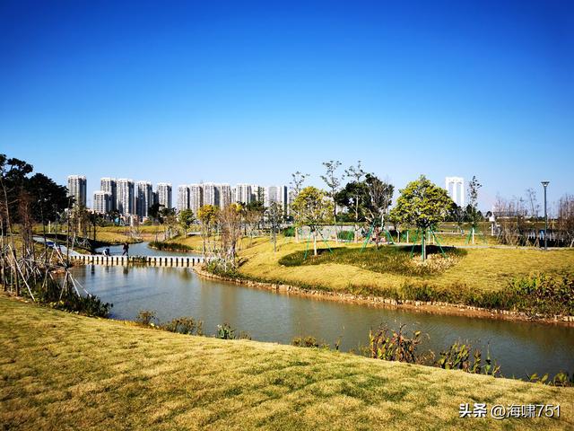 半月岛湿地公园最新探索与保护进展