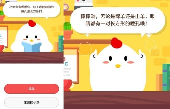蚂蚁庄园小鸡最新皮肤，探索数字宠物的新风尚
