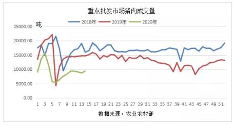 今日今日猪价最新，市场波动背后的深层解析