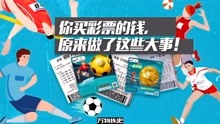 牛牛最新视频，探索创意与科技的奇妙融合