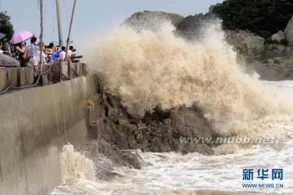浙江灿鸿最新状况，台风灿鸿的后续影响与应对措施